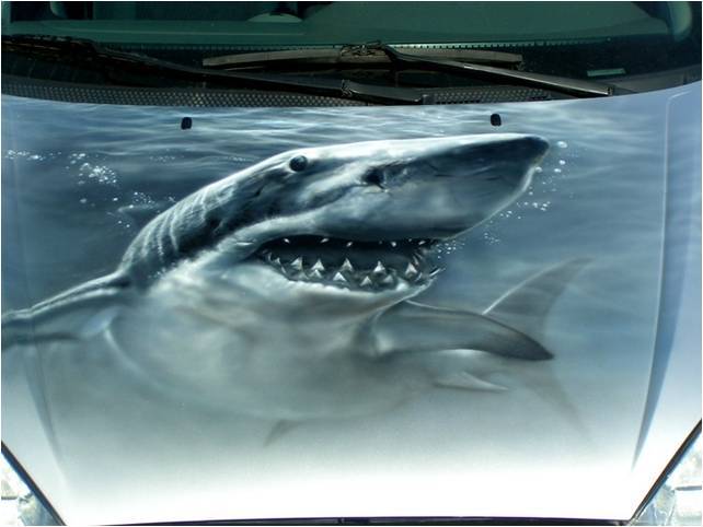 аэрография на авто акула